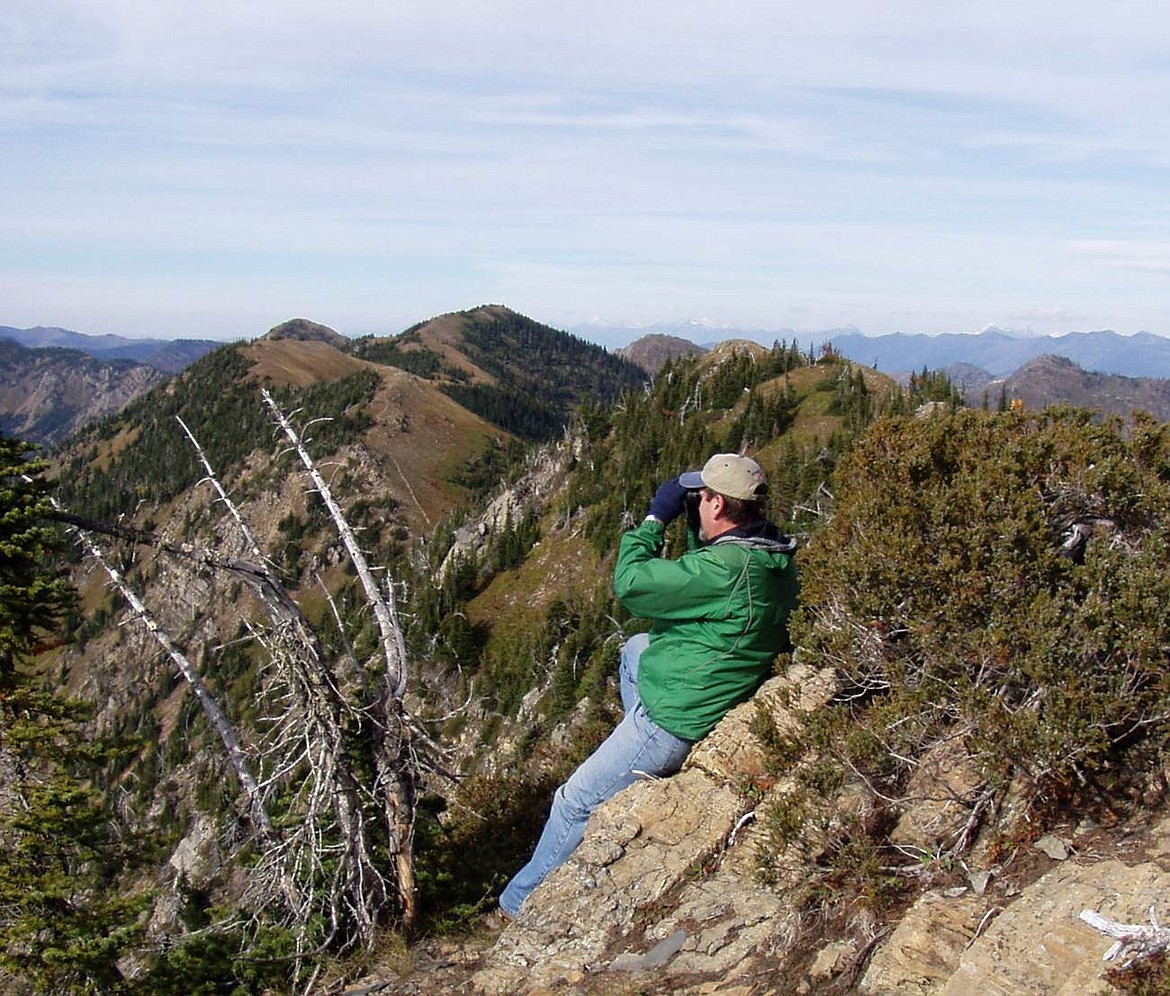 Hawk watch founder Dan Casey scans for birds at the Jewel Basin Hawk Watch survey site.