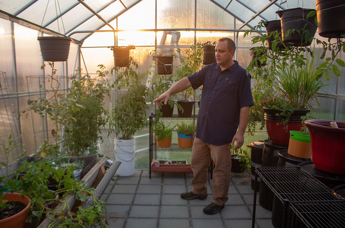 Justin Henley, of Moses Lake, showcases some of the plants and features inside his new greenhouse he was able to install behind his home over the summer on Wednesday, Sept. 30.