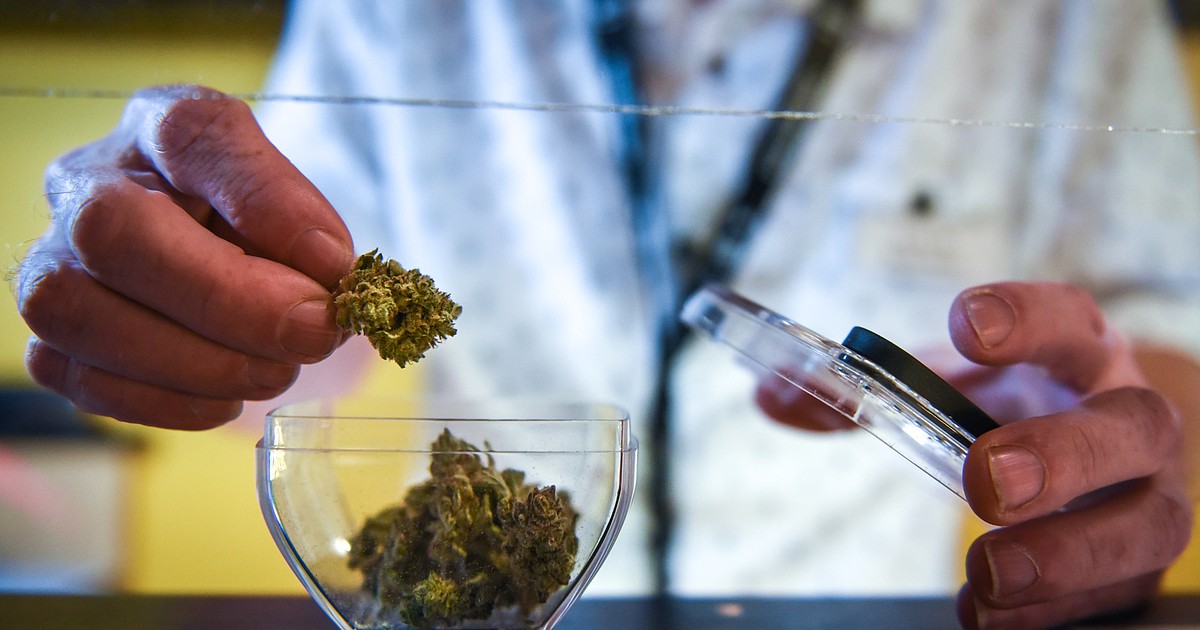 Local dispensaries see success in first year of recreational marijuana sales