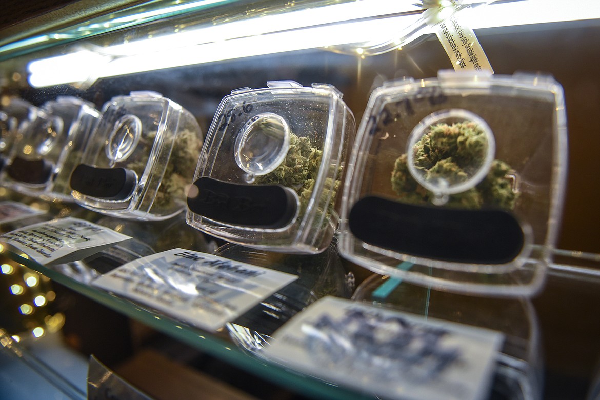 Strains of marijuana are displayed at Flower in Evergreen on Thursday, Oct. 1. (Casey Kreider/Daily Inter Lake)
