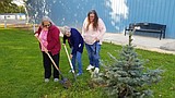 Tree planted to honor Royal City volunteer