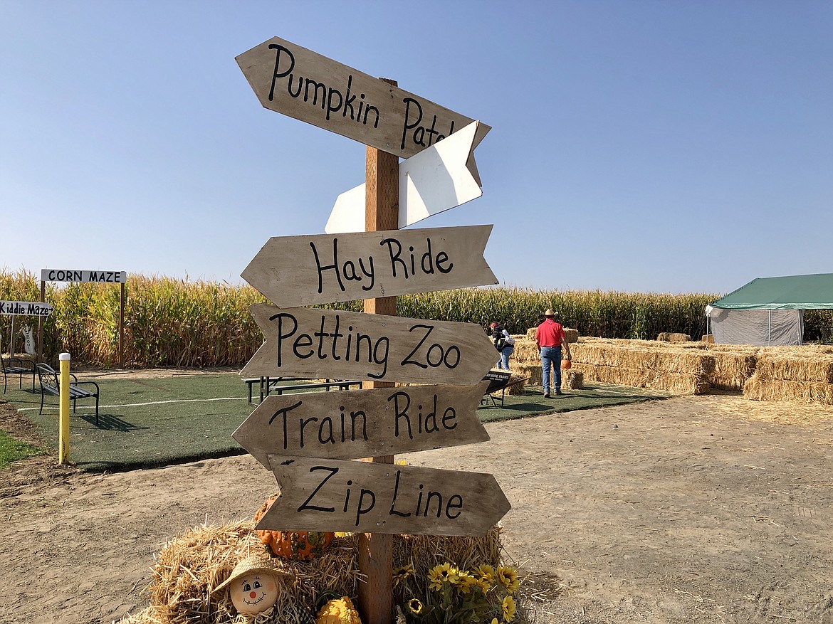 Signs showing the way to things at the Country Cousins Harvest Festival.
