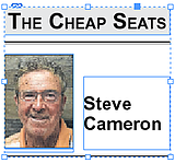 THE CHEAP SEATS with STEVE CAMERON: Dolphins latest team to become Seahawked