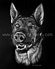Artist completes portrait of K-9 Chief