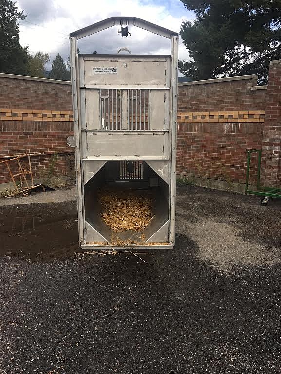 Montana Fish, Wildlife & Parks have used culvert traps to deal with hungry black bears at St. Regis School in the past. (Amy Quinlivan/Mineral Independent)