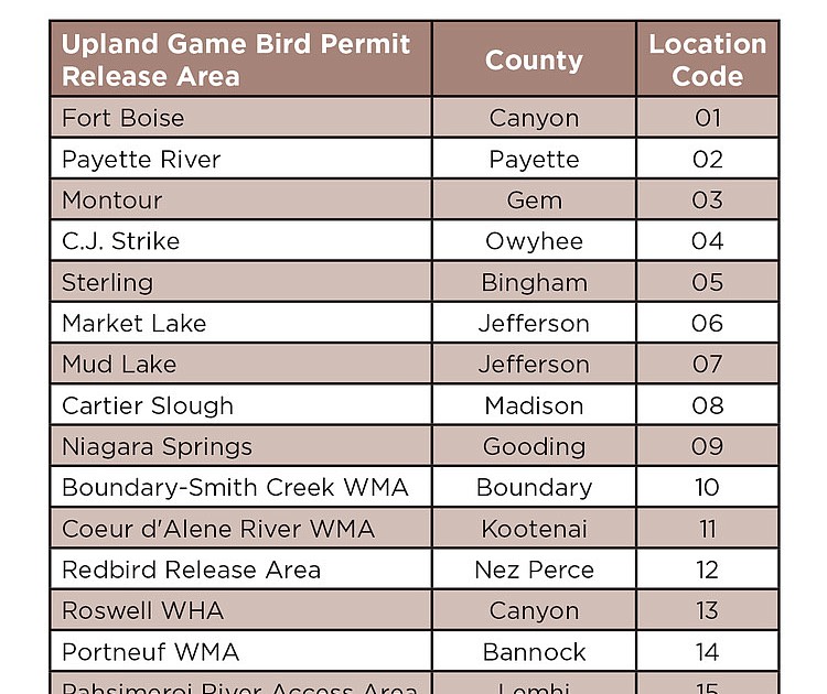 Pheasant season opening soon Coeur d Alene Press