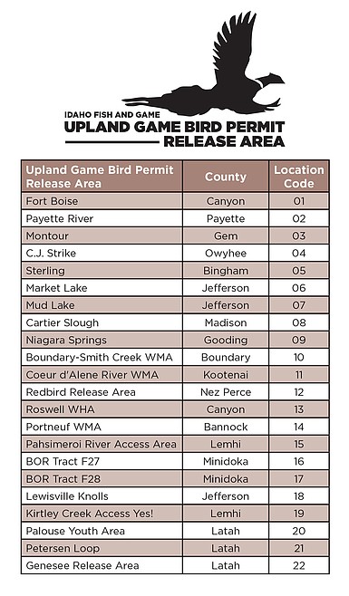 Pheasant season opening soon Coeur d Alene Press