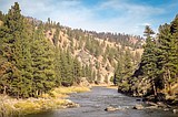 Upper Salmon steelhead fishing report