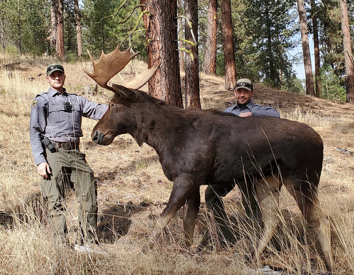 Idaho Fish and Game officials pose by a decoy moose.