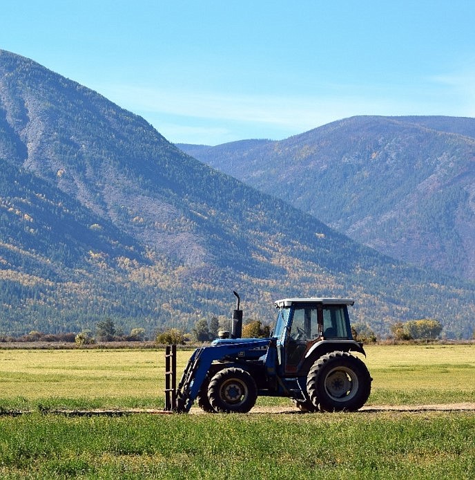 The North Idaho Forage and Grazing school will be held from 9 a.m. to 3 p.m. on Wednesday, Oct. 21, at the University of Idaho’s Sandpoint Organic Agriculture Center.