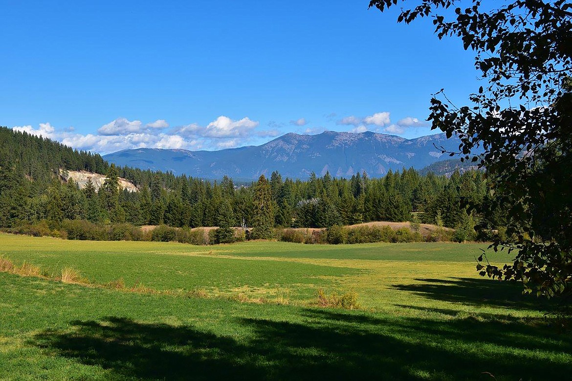 Robert Kalberg captured this view of the fall beauty in the Parker Canyon road area on Sept. 26. “We are so blessed with here in North Idaho,” he wrote in sharing the photo. “It was awesome to not have the smoke or storms, and to see the beginning of the fall beauty.”