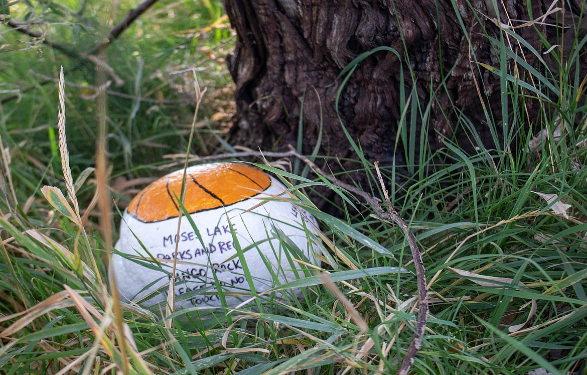 Painted rocks like this one are hidden in parks around Moses Lake as part of Moses Lake Parks & Recreation's new Park Bingo Scavenger Hunt event in October.