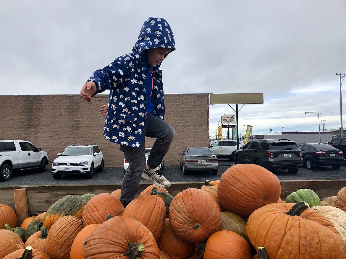 Simon Rathbone, 6, climbs across a pile of pumpkins.