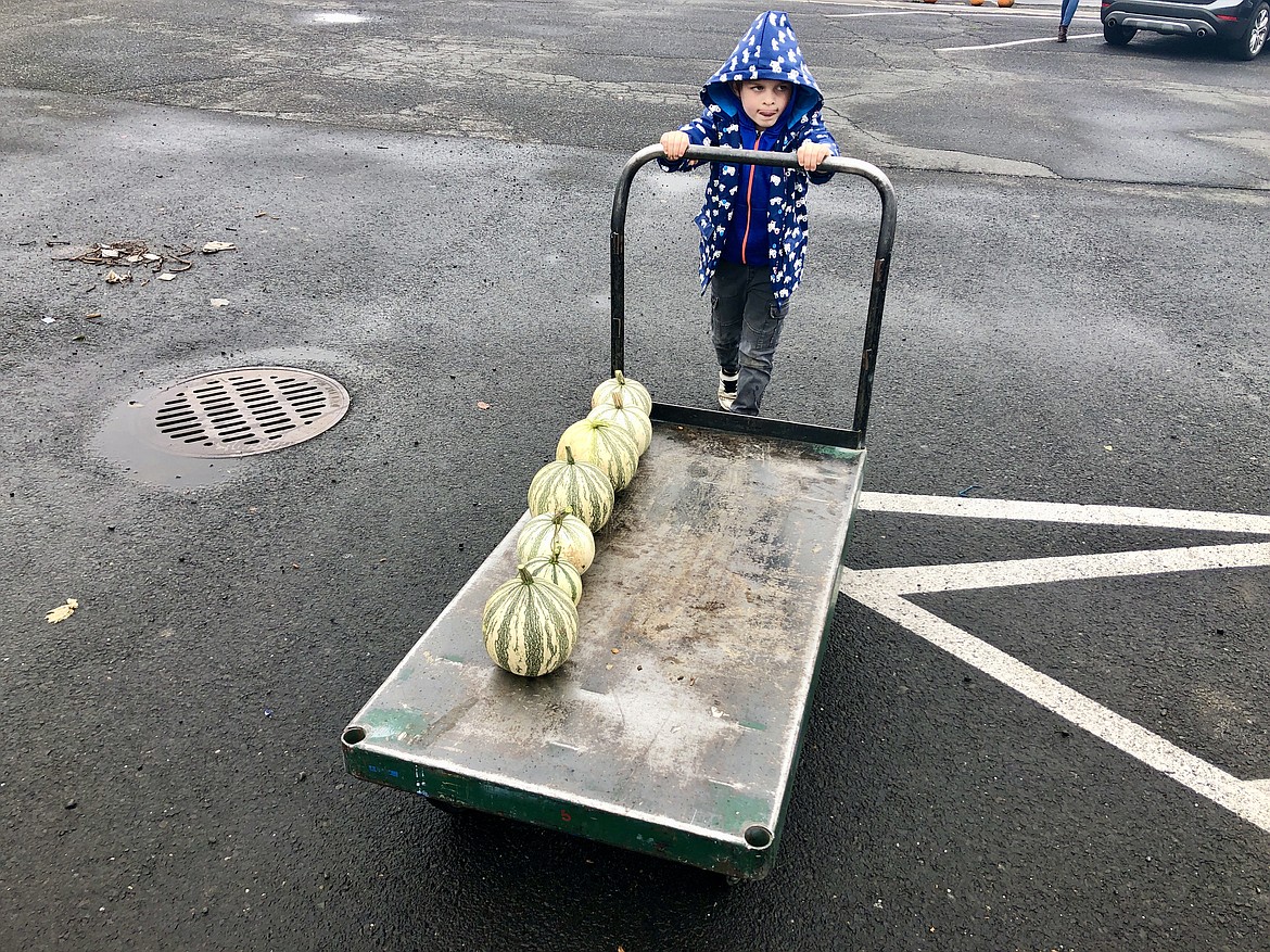 Simon Rathbone, 6, pushes a cart full of pumpkins for a customer at the Soroptomist pumpkin sale in Moses Lake on Saturday.