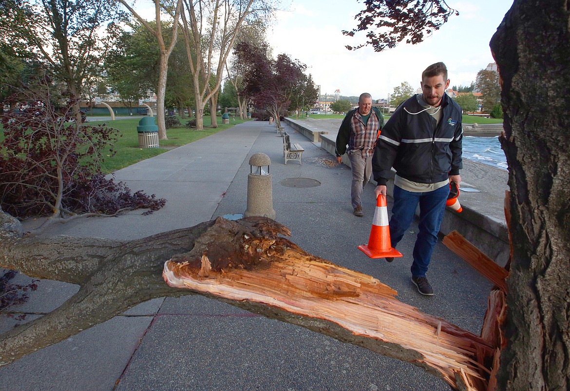 Nick Goodwin, right, and Jeff Erickson with the city of Coeur d'Alene place orange cones around downed trees at City Park Tuesday evening.