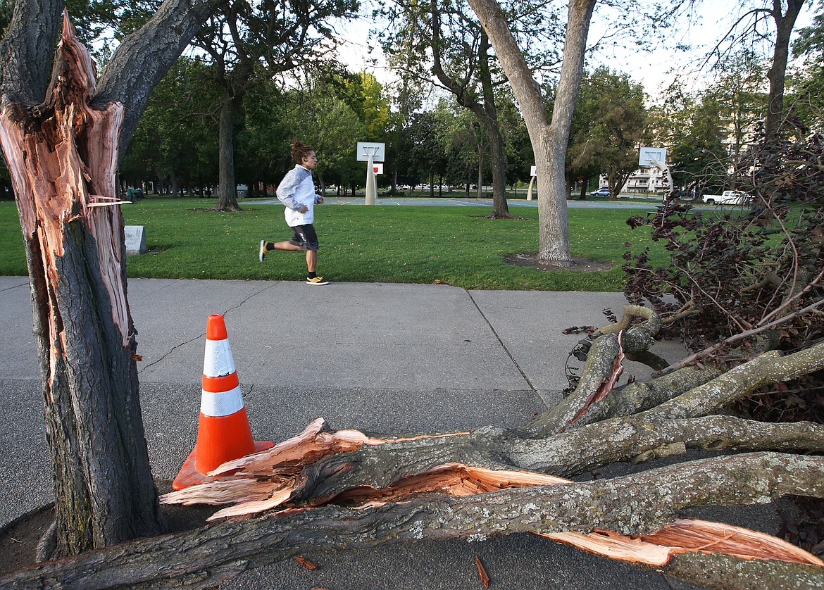 Julian Grant runs past a fallen tree at City Park Tuesday.