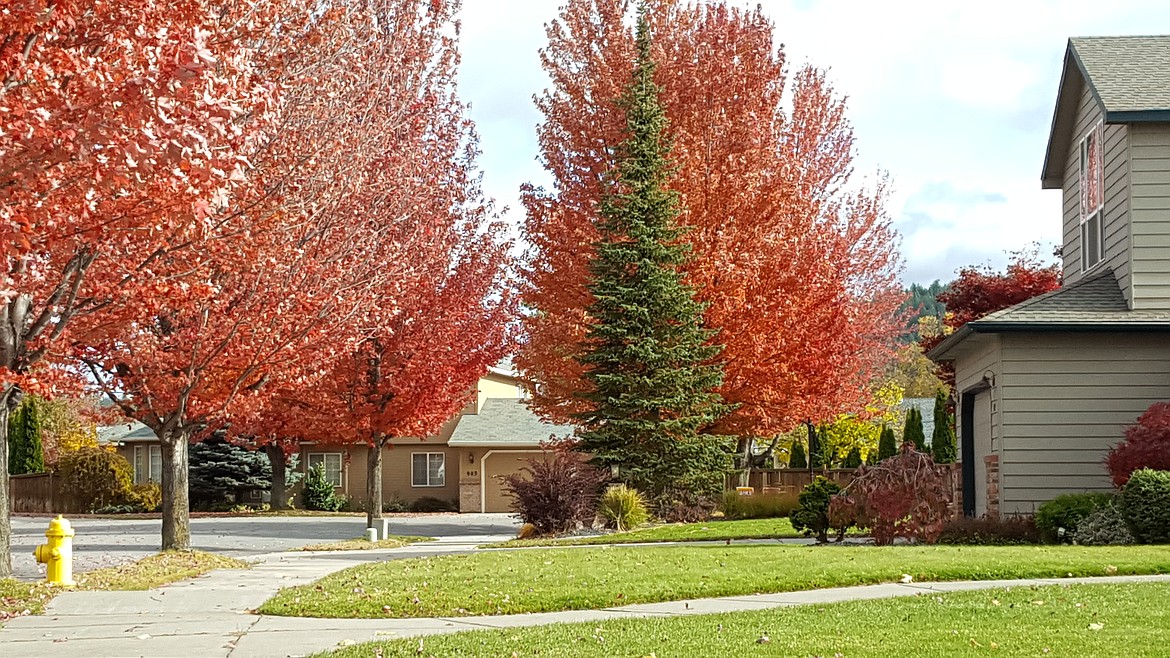 Fall colors in Post Falls. Time to jump on a deal before the winter comes.