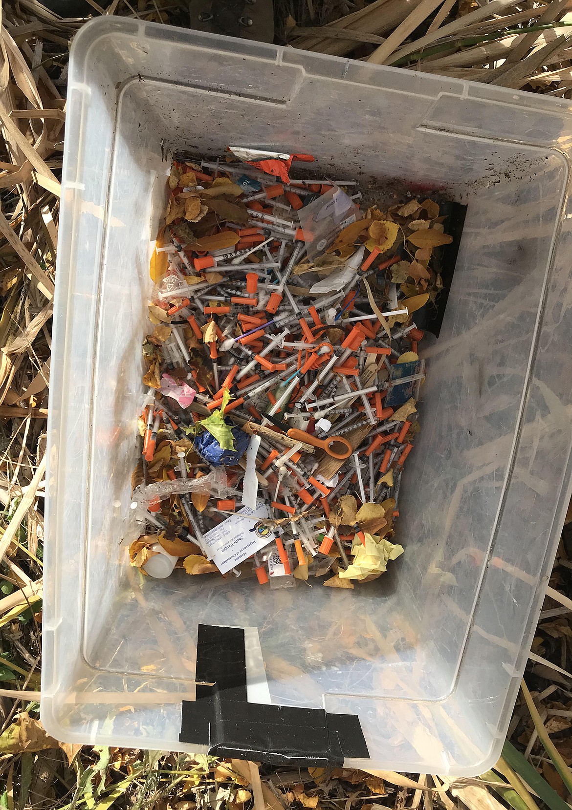 This box containing more than 200 used needles was found on the fringes of Lawrence Park Saturday. (photo provided by Ben Long)