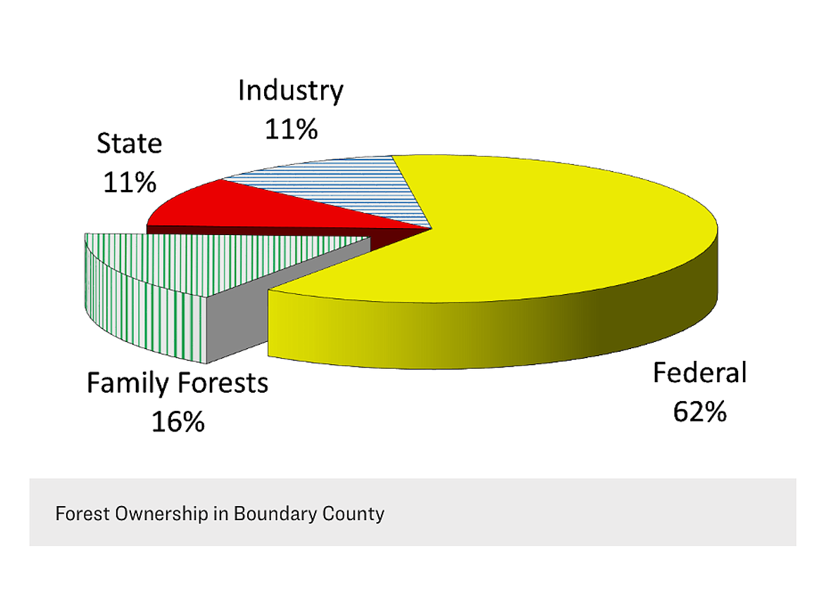 A breakdown of forest land ownership in Boundary County. Data shows that about 16 percent of forest land in the county belongs to families (owning more than 5 acres).