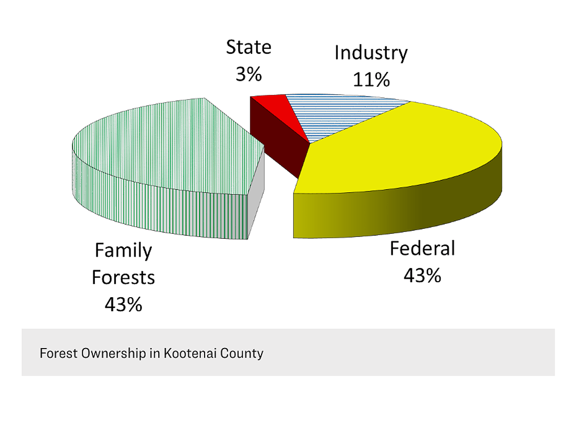 A breakdown of family forest ownership in Kootenai County. Data shows that about 43 percent of forest land in the county is owned by families.