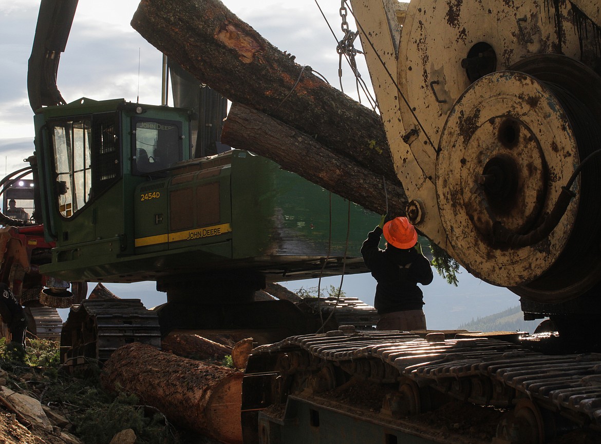 A logger for Dunkel Logging works on a job site.
