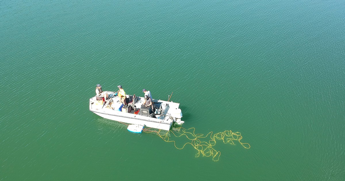 Deep Dive into the Flathead Lake Bio Station | Hagadone News Network