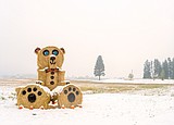 Wintry blast expected tomorrow afternoon into Saturday morning