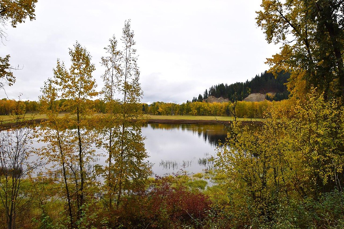 Robert Kalberg captured this photo of the area's fall beauty during a recent "adventure drive" on Lyons Den Road.