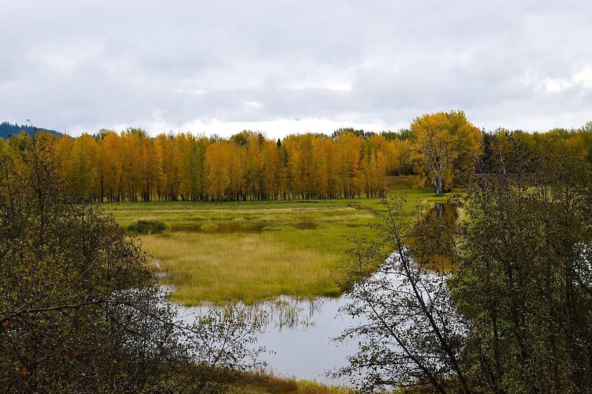 Robert Kalberg captured this photo of the area's fall beauty during a recent "adventure drive" on Lyons Den Road.