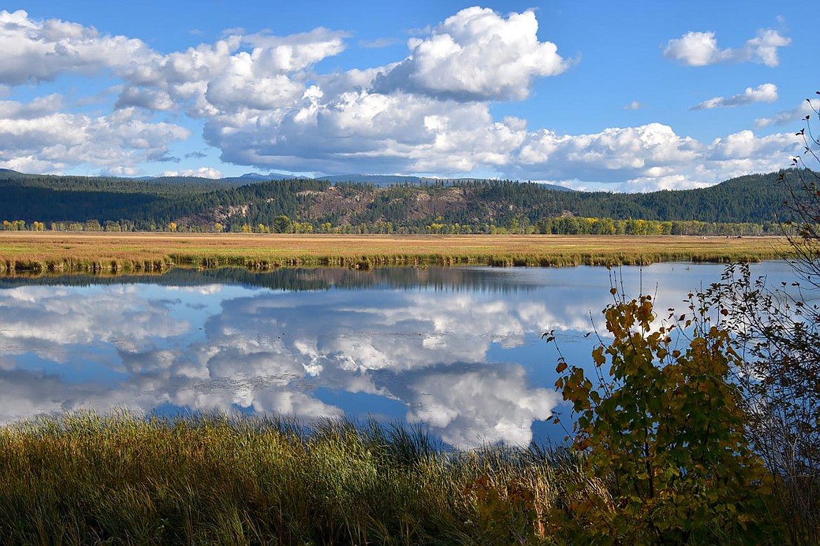 During a recent "adventure drive," Robert Kalberg captured this photo of fall beauty from the Westside Road.