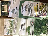 Saving seeds for next year