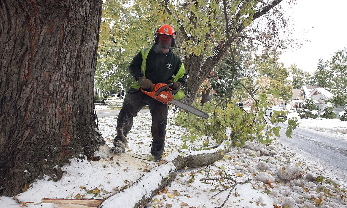 City of Coeur d'Alene employee Robert Cooper uses a chain saw to cut tree branches into shorter pieces for removal on Government Way on Monday.