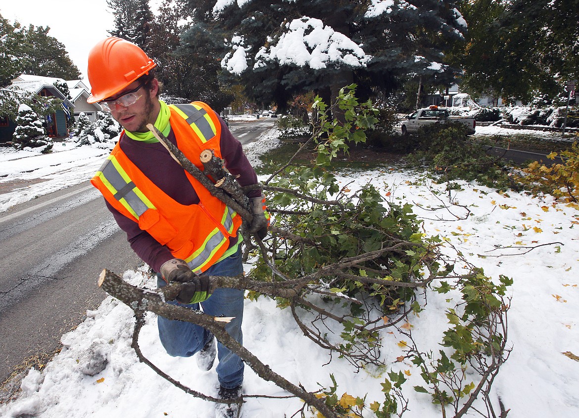 Luke Olsen hauls large tree branches to a larger pile for removal from Government Way on Monday.