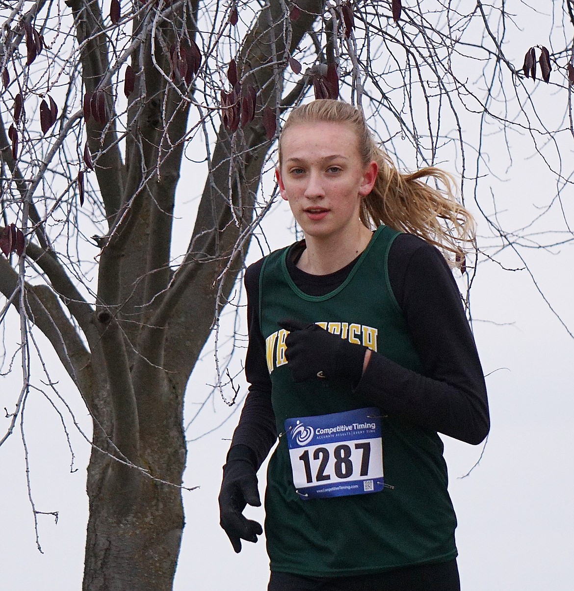 Bulldog Abby Priest finished at the state Class A championship on Friday at Rebecca Farm with a time of 23:09.70, (Matt Weller photo)