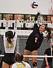 Wildkat spikers finish regular season undefeated