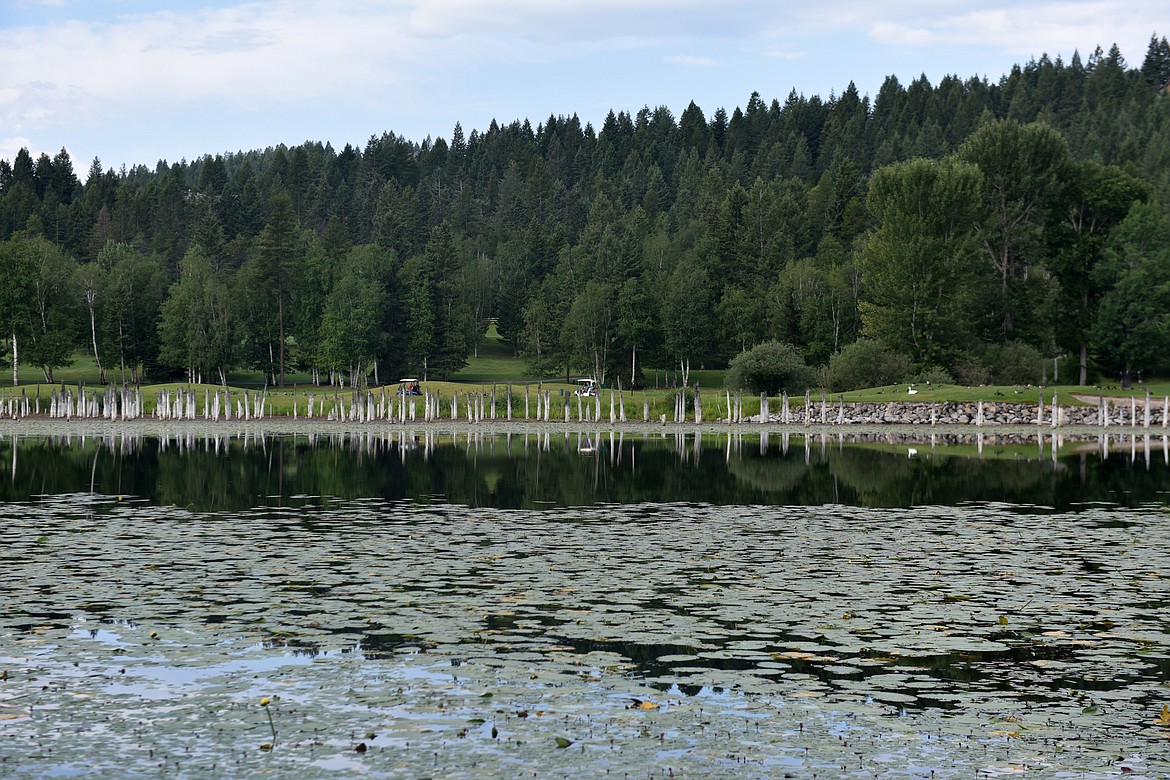 Coon Lake, Minnesota  Lake, Fishing & Travel Info