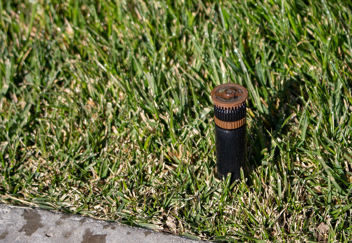 Nothing but air is left coming out of a sprinkler head as Matt Ahmann blows out the system on Thursday.