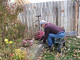 HOMES Master Gardener: Preparing your garden for winter