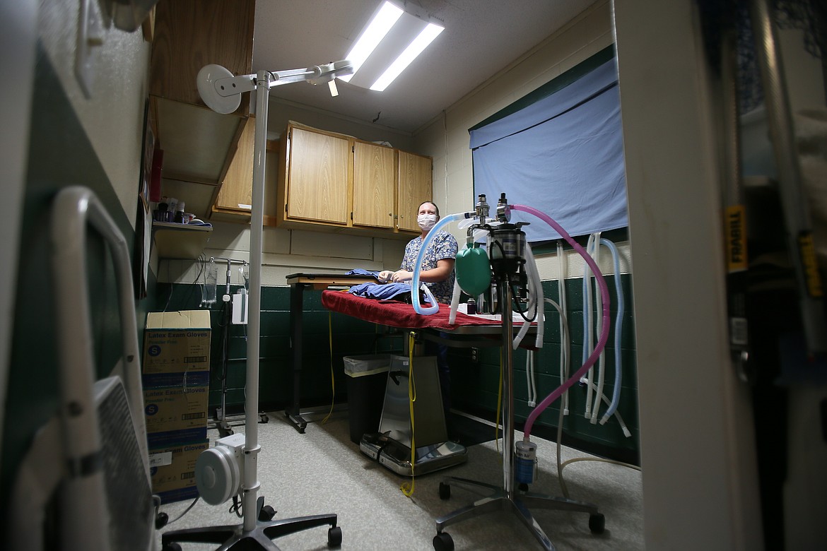 Veterinarian Nichole Leonard prepares a feline patient for surgery Thursday in a cramped vet room in the Kootenai Humane Society shelter in Hayden. The capital campaign for the new shelter, which would double the capacity of the present site, needs just less than $1 million for construction to begin.