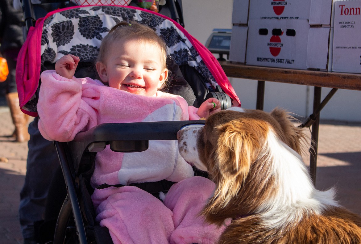 Spencer Iksic can do nothing but smile as she's approached by a friendly dog at the Moses Lake Farmers Market on Saturday.