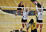 Stayin' alive: Maidens mow down Loggers, move on to divisionals