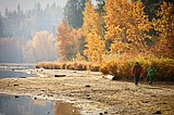 Decision nears on Cougar Bay