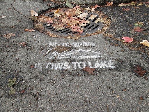 Many of the storm drains in Coeur d'Alene flow directly to the Lake and Spokane River without any treatment, transporting leaves and other debris.