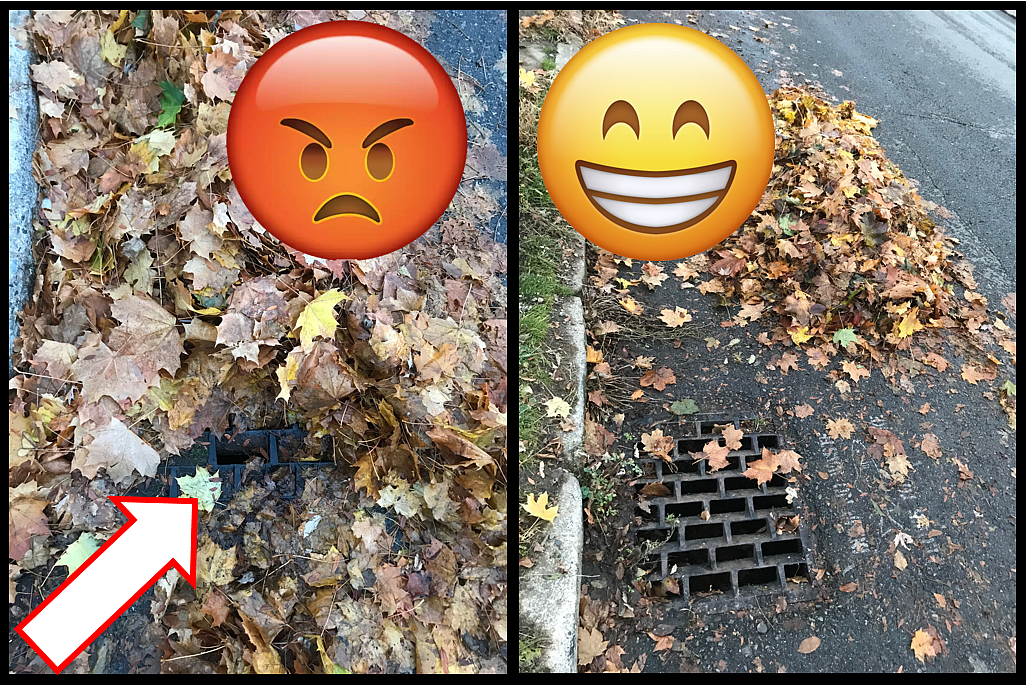 Be sure to clear leaves from storm drains and leave a 1 foot gap between the curb and leaf piles to allow for water flow.