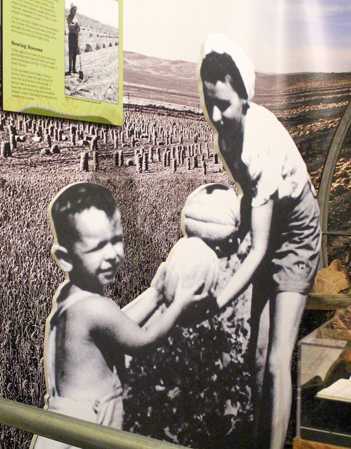 A standup photograph of Dale Gibson and his mother Janice Gibson working in the fields of Quincy in 1965 is on display at the Quincy Museum & Historical Society.