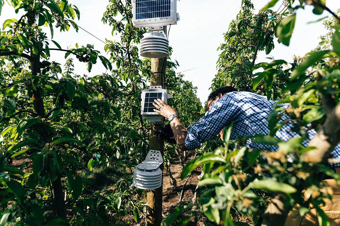 Sensors in the Smart Orchard.