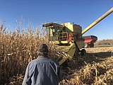 Farmer breathes new life into an old combine