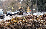 No leaf left behind