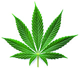 Surrounded by pot