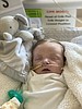 McCoix Douglas Capaul, Four months